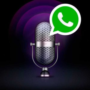 Voicer, la app que convierte audios a textos en WhatsApp