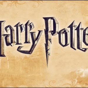 Mirá las nuevas bolsas de Harry Potter