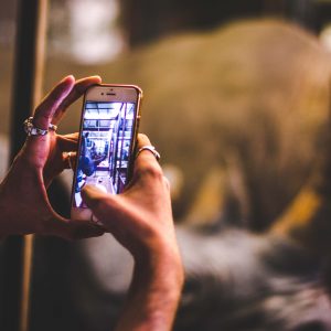 5 consejos para que tomés mejores fotos con tu teléfono