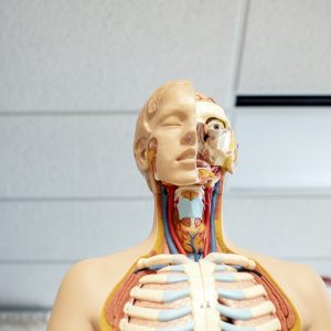 Apuntate a estas olimpiadas de ciencia y tecnología